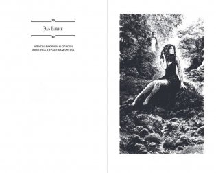 Атрионка. Сердце хамелеона фото книги 2