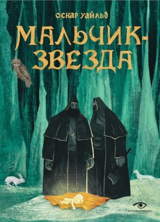 Мальчик-Звезда фото книги