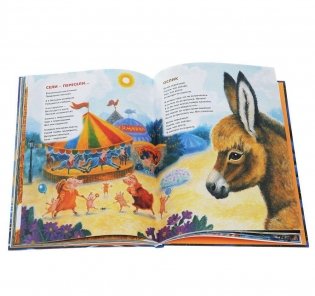 Сторож на маяке фото книги 2