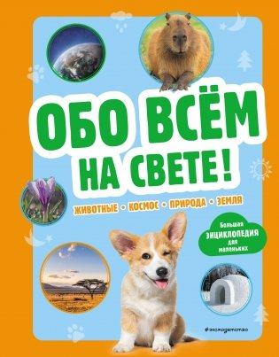 Обо всем на свете! Большая энциклопедия для маленьких фото книги