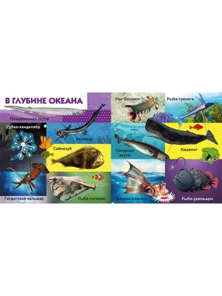 Морские обитатели фото книги 7