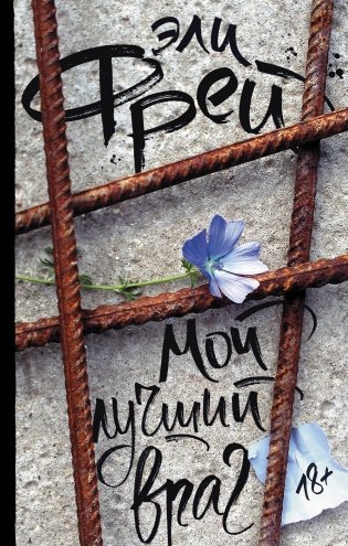 Мой лучший враг фото книги