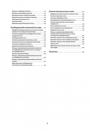 Анатомия движения: человеческое тело фото книги 3