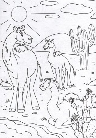 Раскраска с карандашами «Дикие животные» (комплект из 2-х предметов) фото книги 3