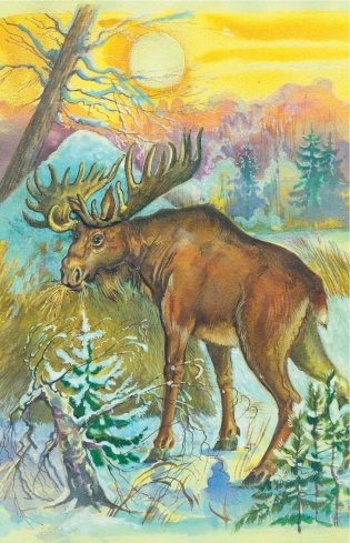 Охотничьи истории фото книги 8