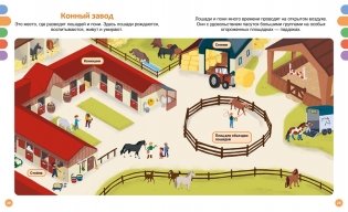 Лошади фото книги 7