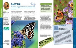 В мире животных. Энциклопедия фото книги 2