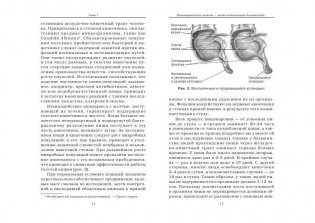 Очистите свой организм от болезней фото книги 10