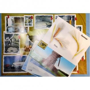 Демонстрационный материал "Хлеб-всему голова" фото книги 3