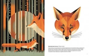 Животные Севера фото книги 7