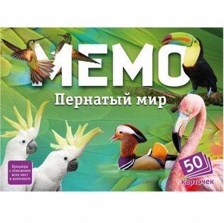 Мемо "Пернатый мир" фото книги 4
