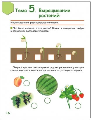 Знакомлюсь с растениями. Развивающая тетрадь для детей 6-7 лет. 1-е полугодие фото книги 5