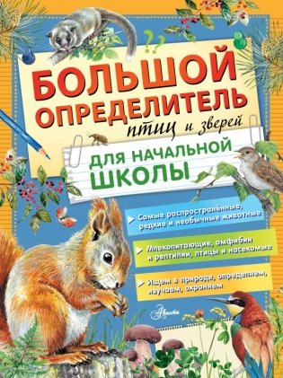 Большой определитель птиц и зверей для начальной школы фото книги