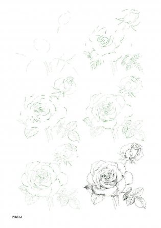 Рисуем 50 цветов и деревьев фото книги 4