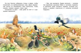 Необыкновенная Сова Маня фото книги 2