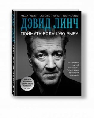 Поймать большую рыбу фото книги