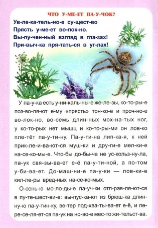 Слогочиталка. Секреты природы. Рассказы о букашках фото книги 2