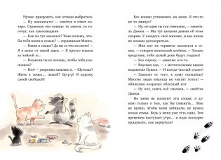 Маффин. Мой друг енот фото книги 5