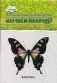 Изучаем природу. Карточки для развития ребенка фото книги маленькое 2