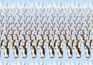 Альбом для тренировки зрения фото книги 4