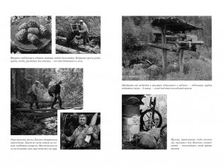 Таежный тупик. Странствия фото книги 13