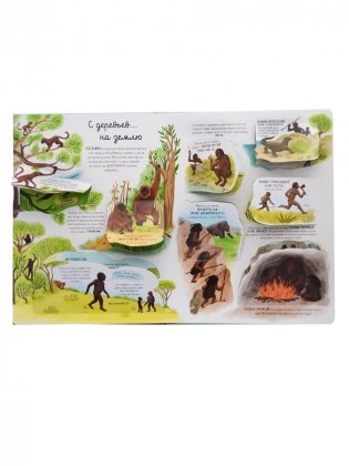 Открой тайны. Эволюция фото книги 2