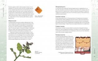 Библия астрологии. Как гармонизировать отношения с окружающими, построить успешную карьеру и улучшить здоровье фото книги 6