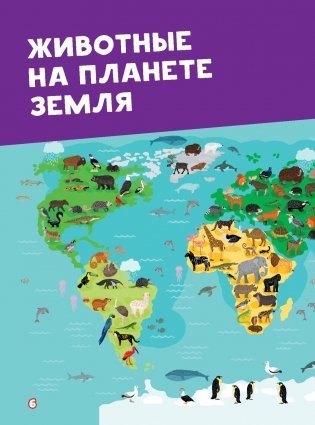 Моя первая большая книга о животных фото книги 12