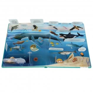 Книжка с окошками. Тайны подводного мира фото книги 3