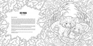 Baby animals: a smithsonian coloring book фото книги 5