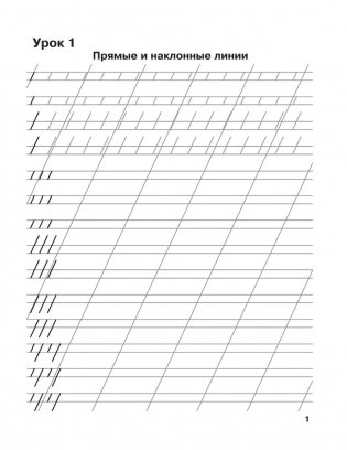 Мои первые школьные прописи. В 4 частях. Часть 1 фото книги 2