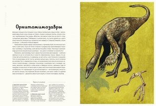 Динозавриум фото книги 8