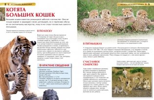 Детёныши животных фото книги 2