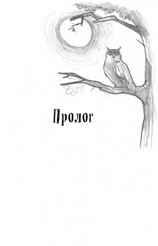 Проклятие старого рудника фото книги 12