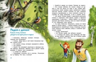 Птицы. Детская энциклопедия (Чевостик) фото книги 3
