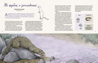 Наши соседи по планете. Рассказы о диких животных фото книги 7