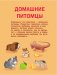 Первая книга о животных фото книги маленькое 6
