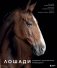 Лошади. Портреты, вдохновленные Рембрандтом. Эксклюзивный фотоальбом фото книги маленькое 2