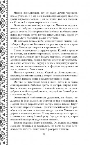 Золотые земли. Сокол и Ворон фото книги 14