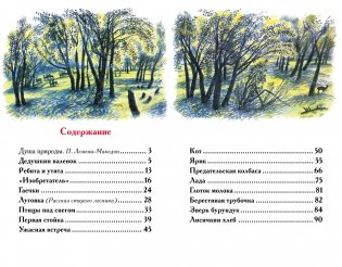 Лисичкин хлеб фото книги 2