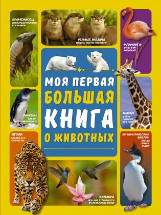 Моя первая большая книга о животных фото книги