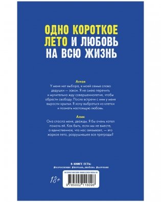 Сердце лета фото книги 3