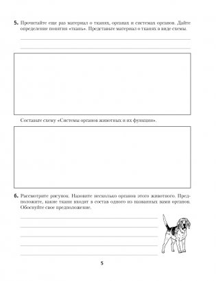 Рабочая тетрадь по биологии для 8 класса фото книги 3