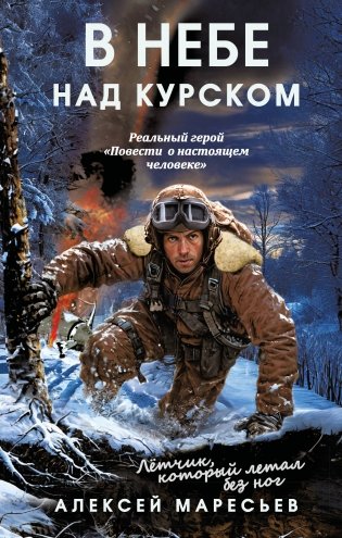 В небе над Курском. Реальный герой "Повести о настоящем человеке" фото книги