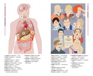 Итальянский язык в картинках фото книги 6