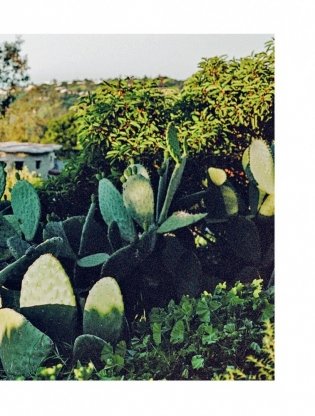 Ваби-саби. Гостеприимство по-японски фото книги 10