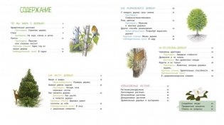 Деревья и кустарники фото книги 3