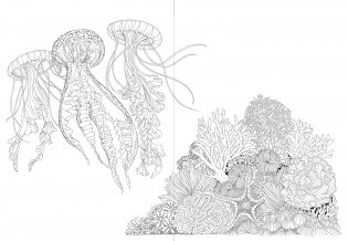 Leila Duly's Beautiful Planet: An Intricate Coloring Book фото книги 2