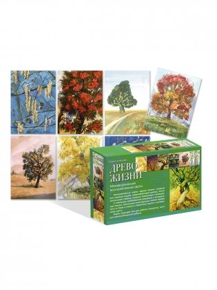 Древо жизни. 50 ассоциативных карт в коробке фото книги