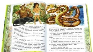 Открой книгу! Маугли фото книги 2